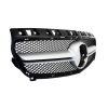 b2b-central-grille-mercedes-benz-a-class-w176_5989554_6011545