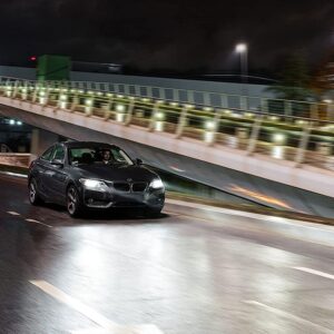 40557_0671DfOZebubrzd